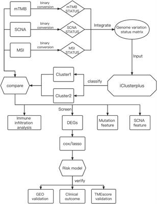 Identification of Tumor Mutation Burden, Microsatellite Instability, and Somatic Copy Number Alteration Derived Nine Gene Signatures to Predict Clinical Outcomes in STAD